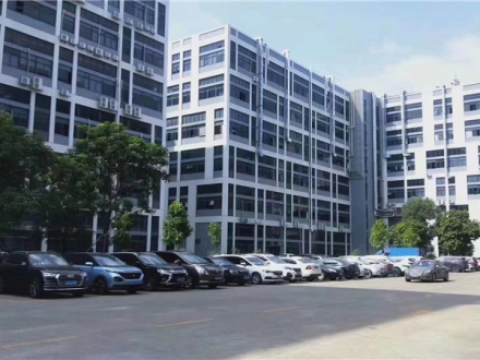 公司实力